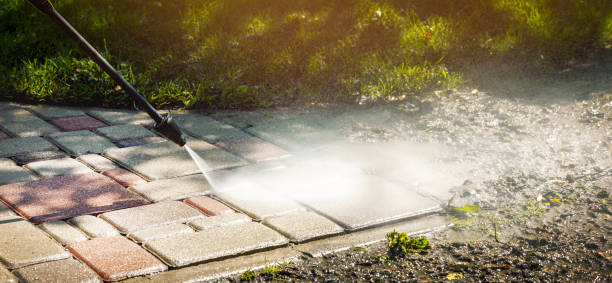Animal Enclosure Cleaning in Pike Creek Valley, DE